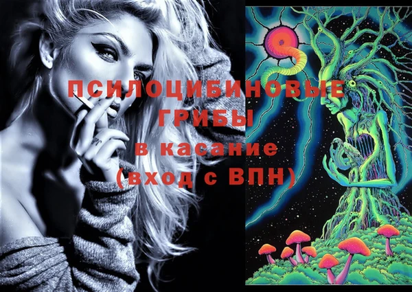 apvp Елизово