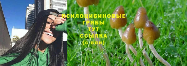 прущая мука Елабуга