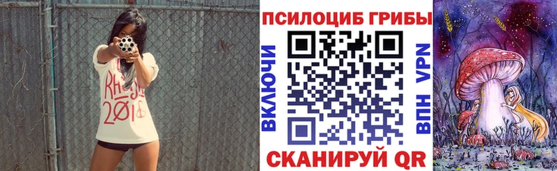 закладки  гидра вход  Псилоцибиновые грибы Psilocybe  Иланский 